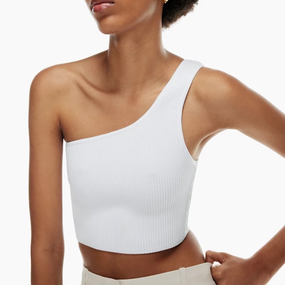Aritzia Top